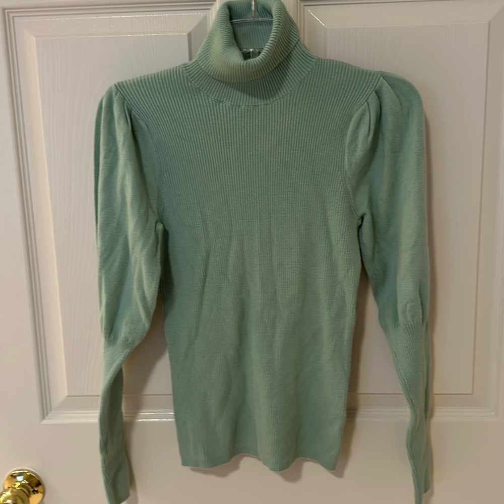 Puff Sleeve Turtleneck